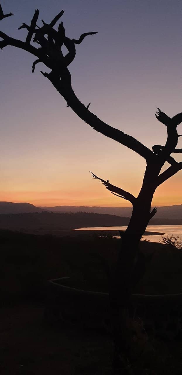 Tranquil Dam Views