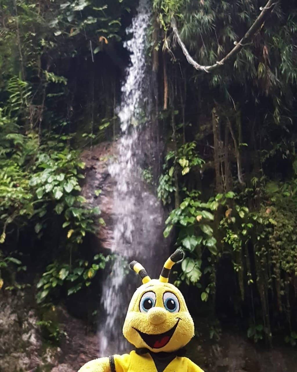 Nature's Oasis