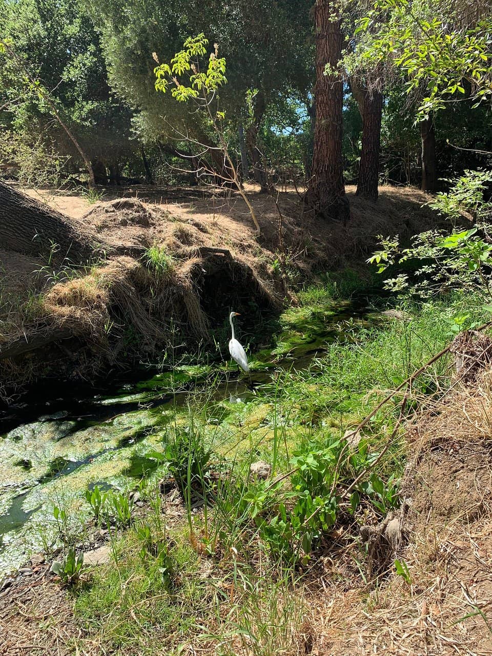 Picnic Spots