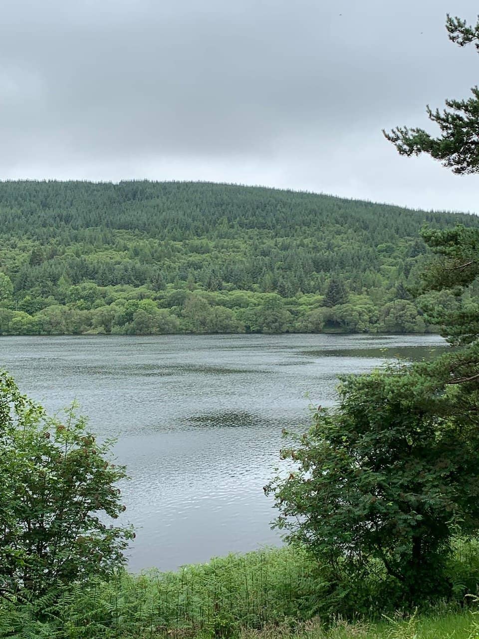 Scenic Reservoir Loop