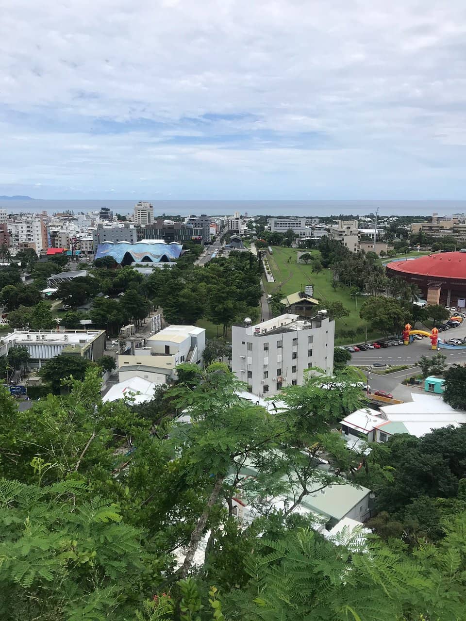 Local Life and Culture