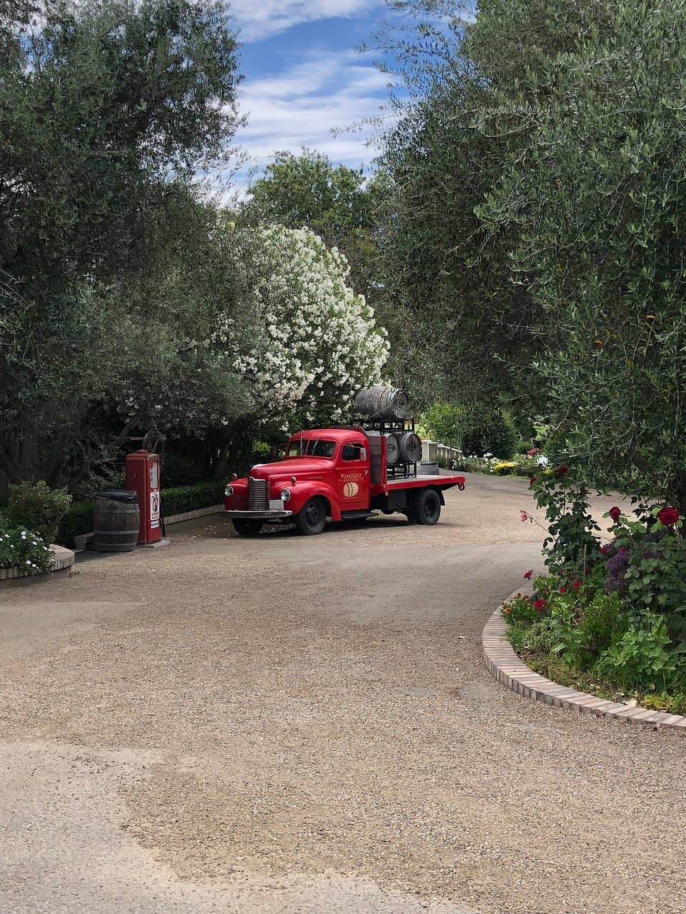 Live Music Performances