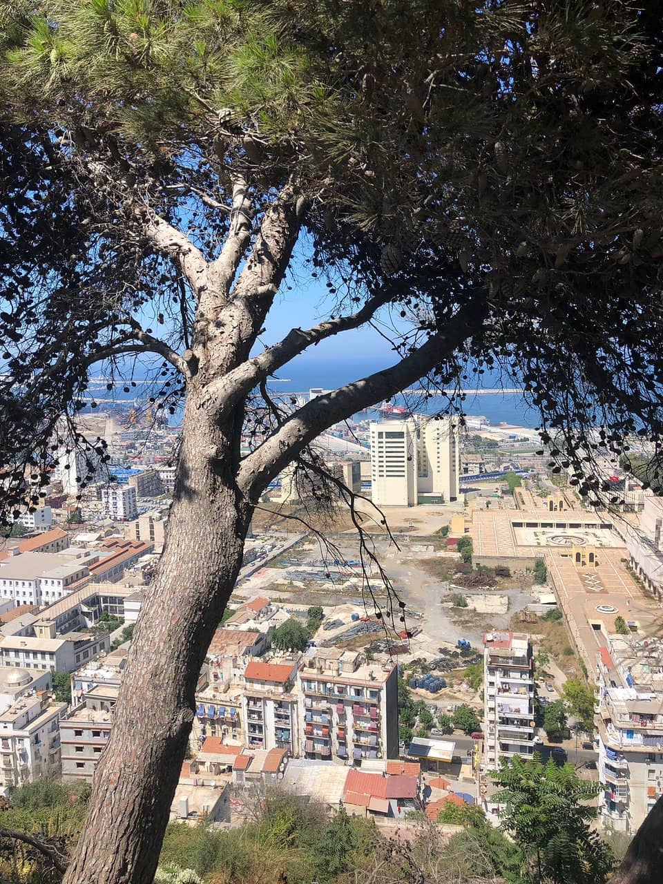 Panoramic City Views