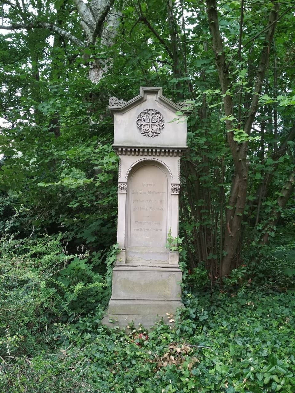 Peaceful Park Setting