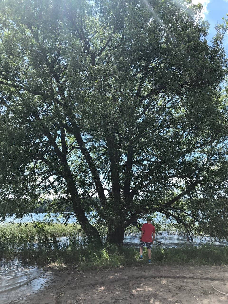Adventure Playground