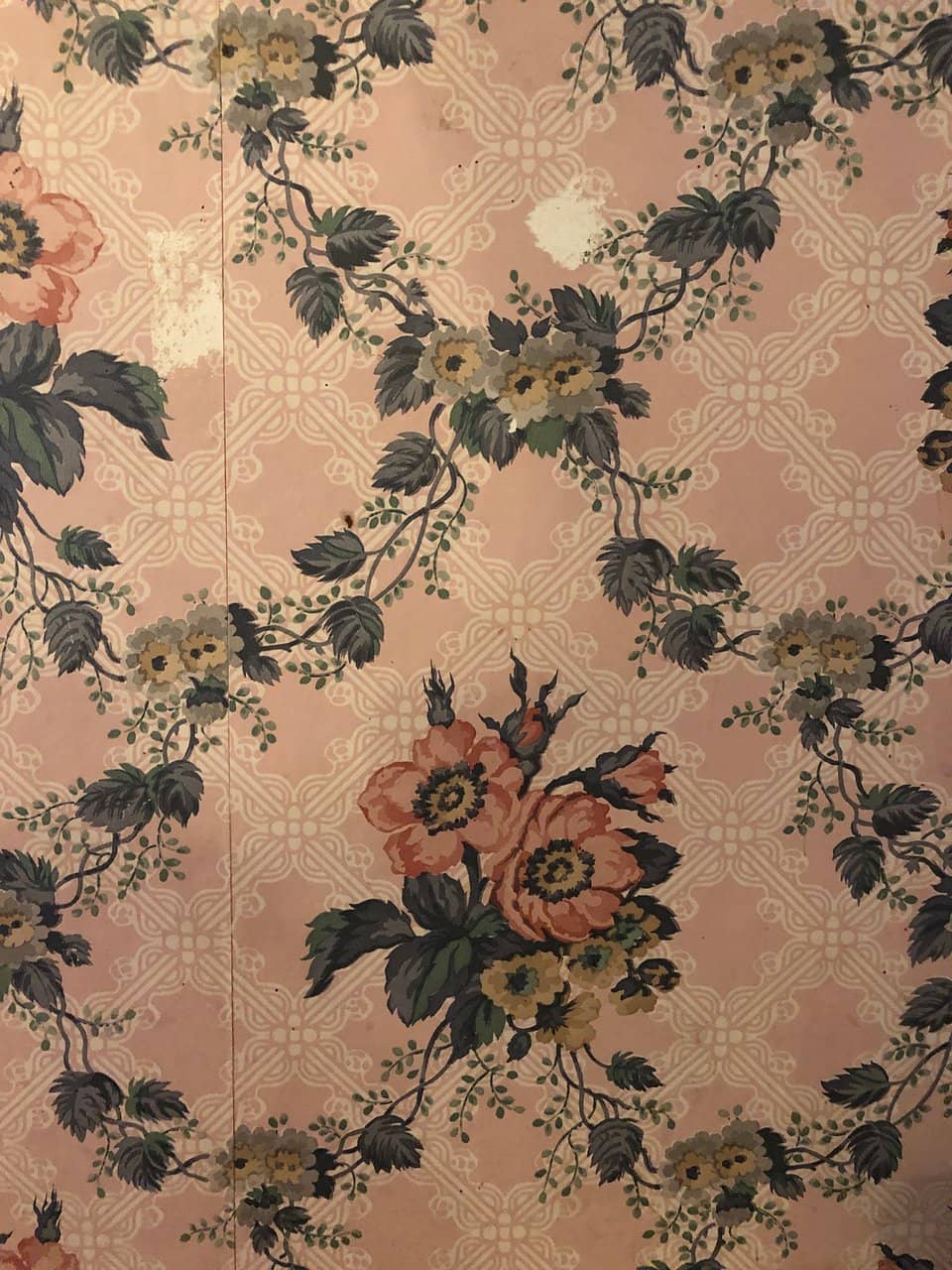 Custom Hat Experience