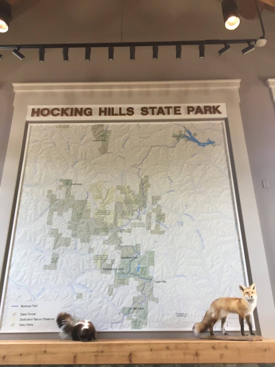 Community Water Wheel