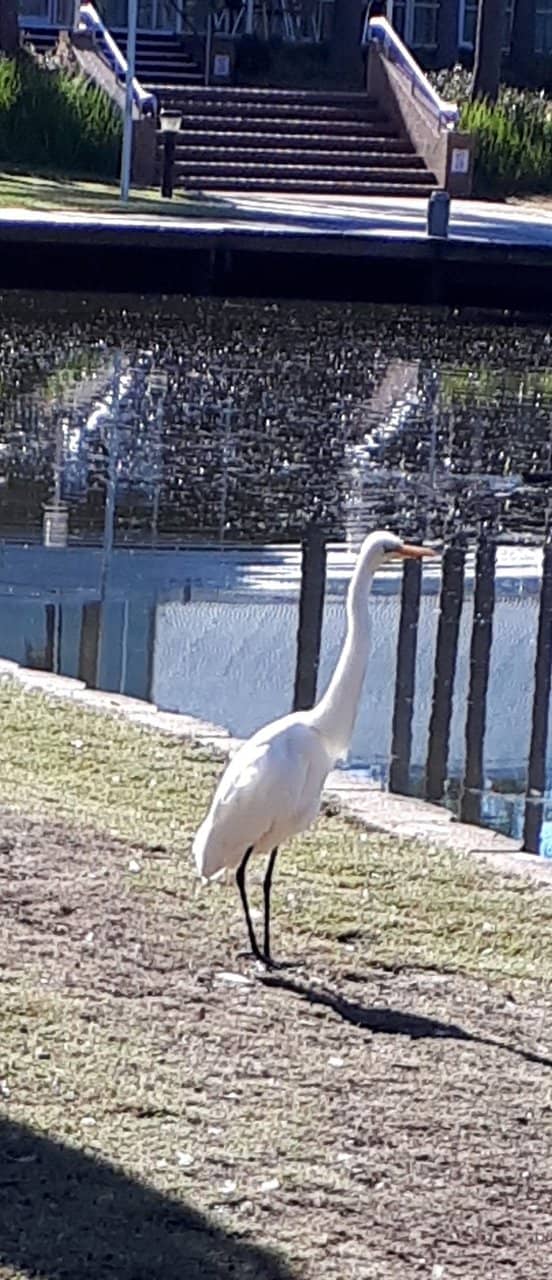 Sydney Zoo