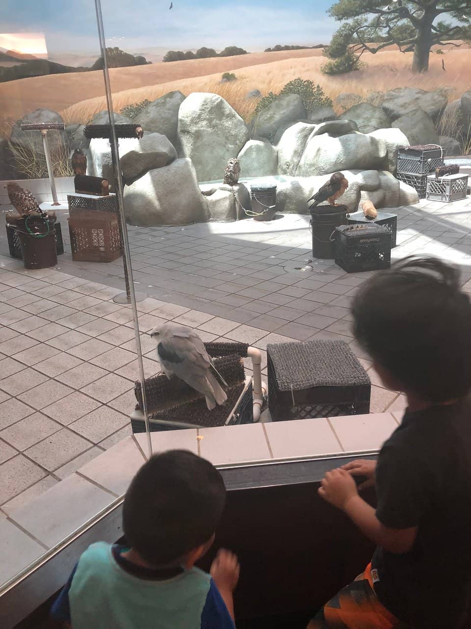 Interactive Bee Hive