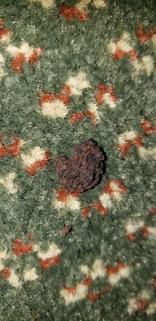 DreamMaker's Theater