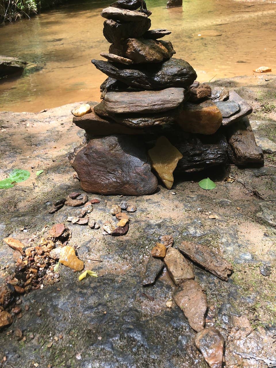 Guided Nature Hikes