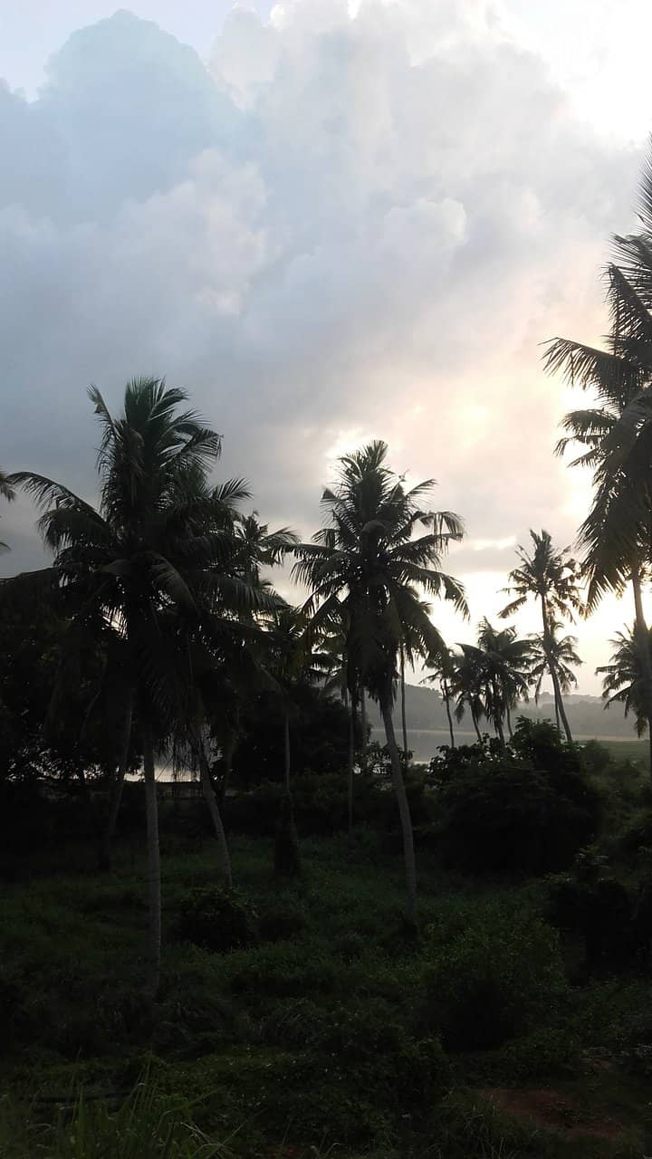 Adventure Zone Thrills