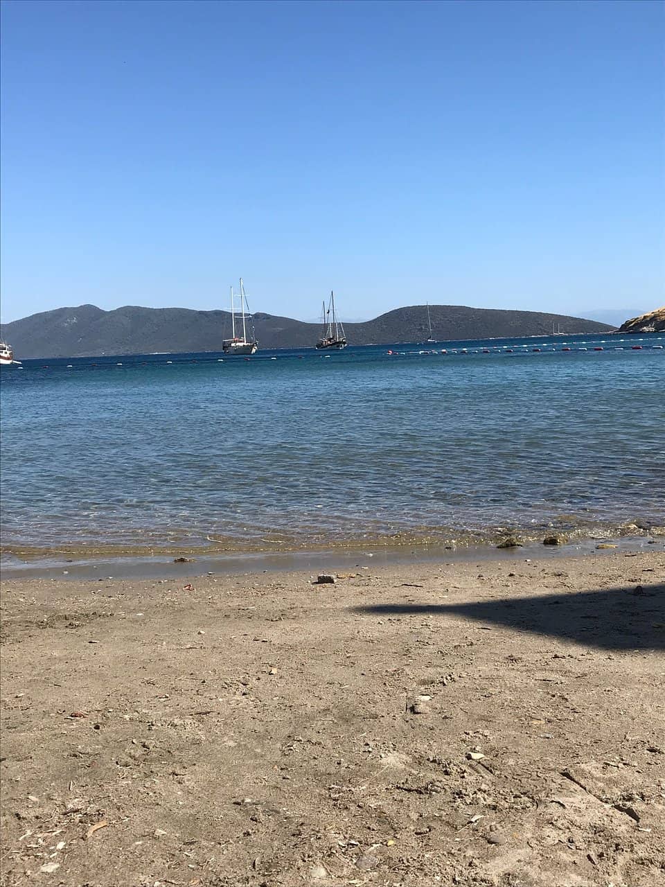 Vertical photo