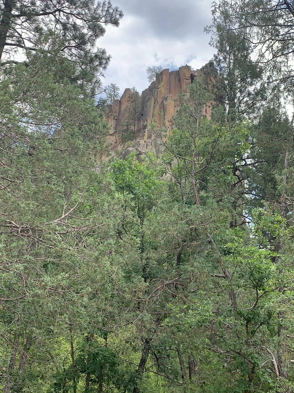 Vertical photo