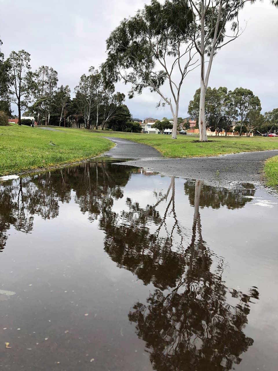Scotchman's Creek Trail Access