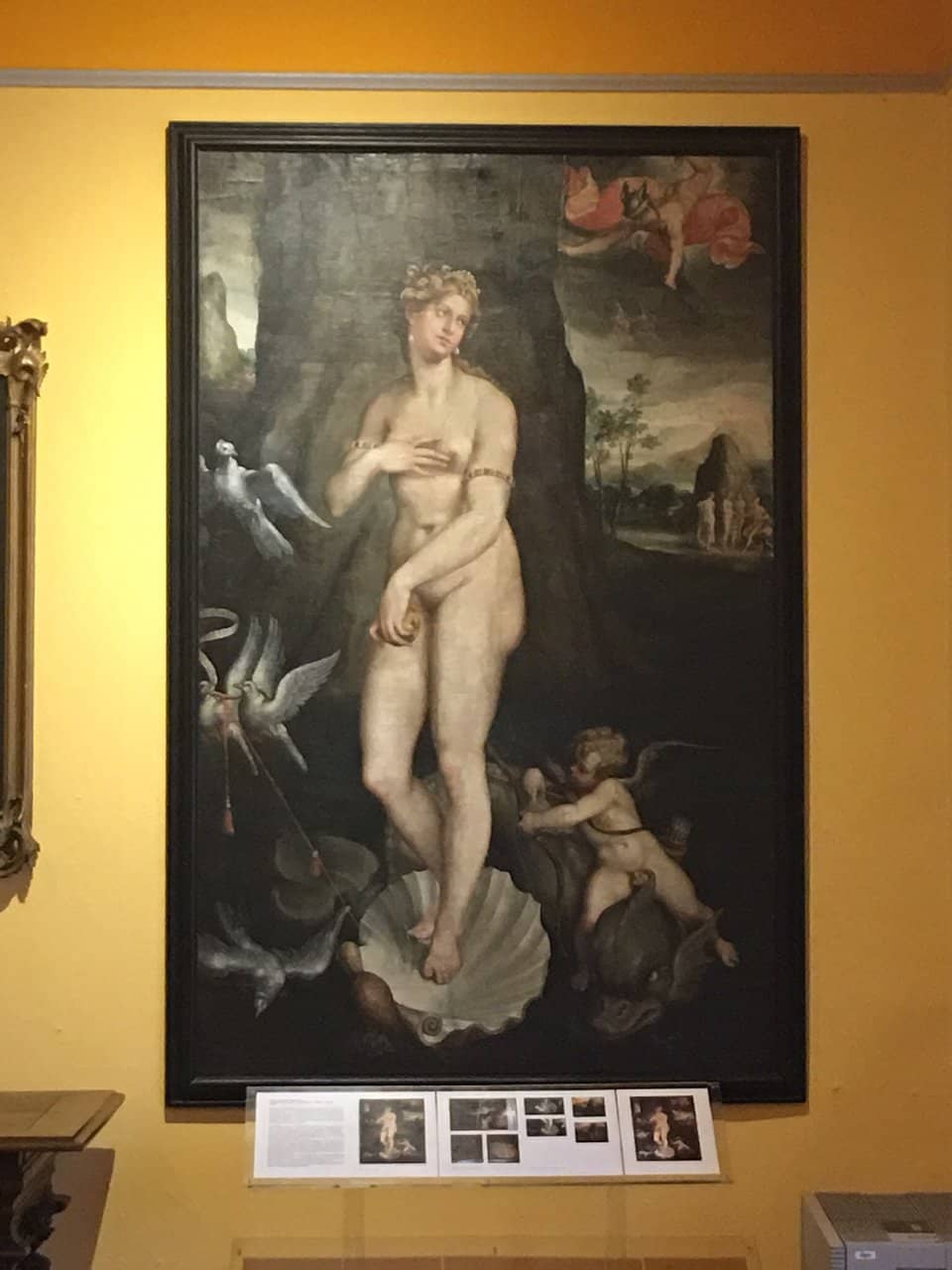 Swedish Era Insights