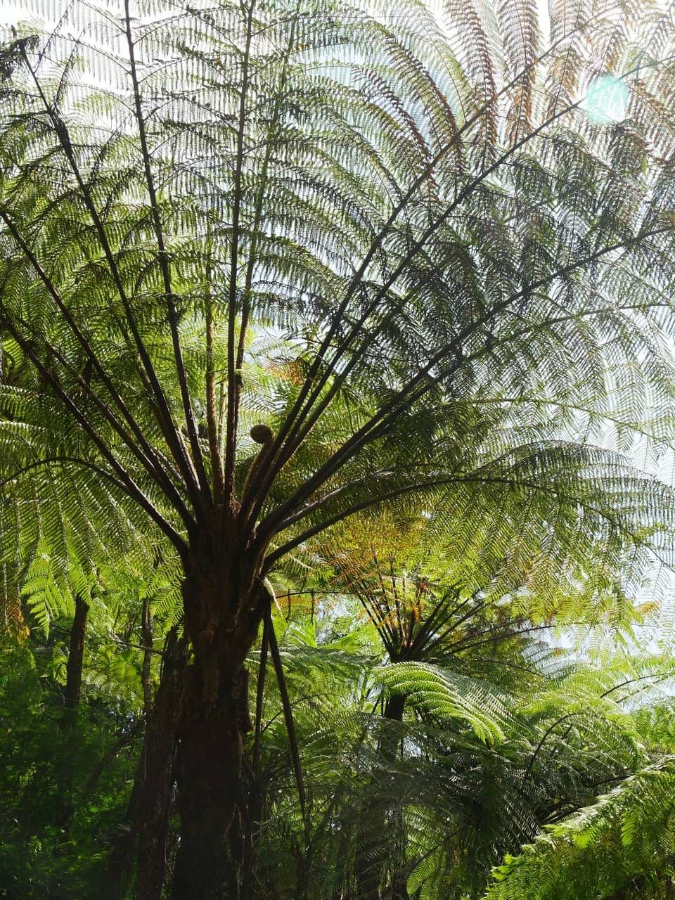 Unique Cultural Spot