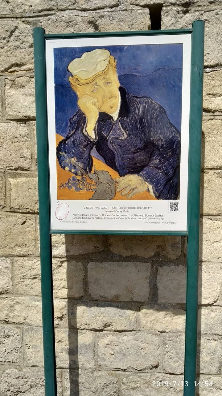 Tranquil Garden Views