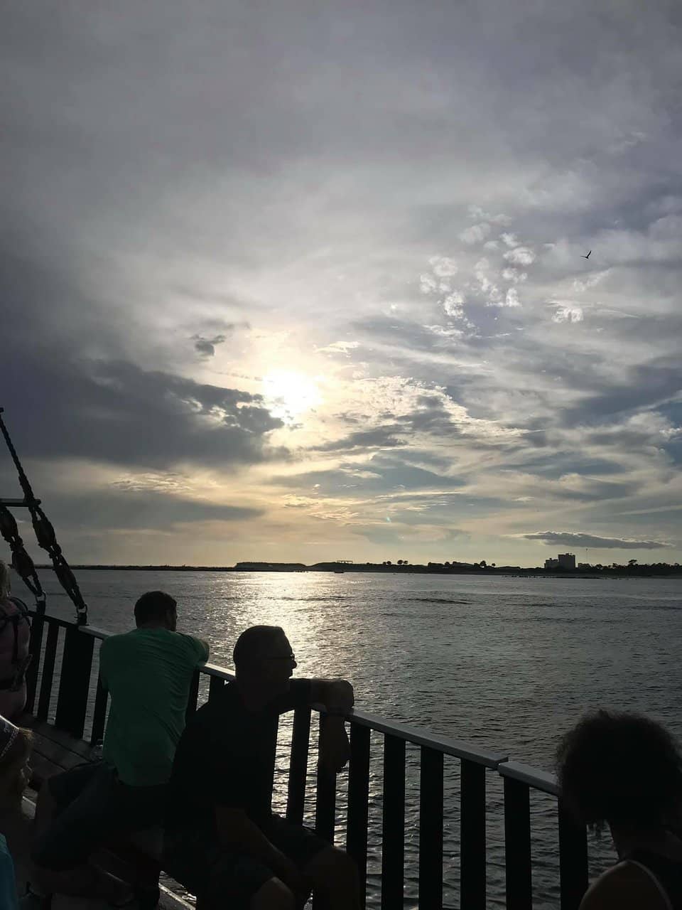 Dolphin Sightings