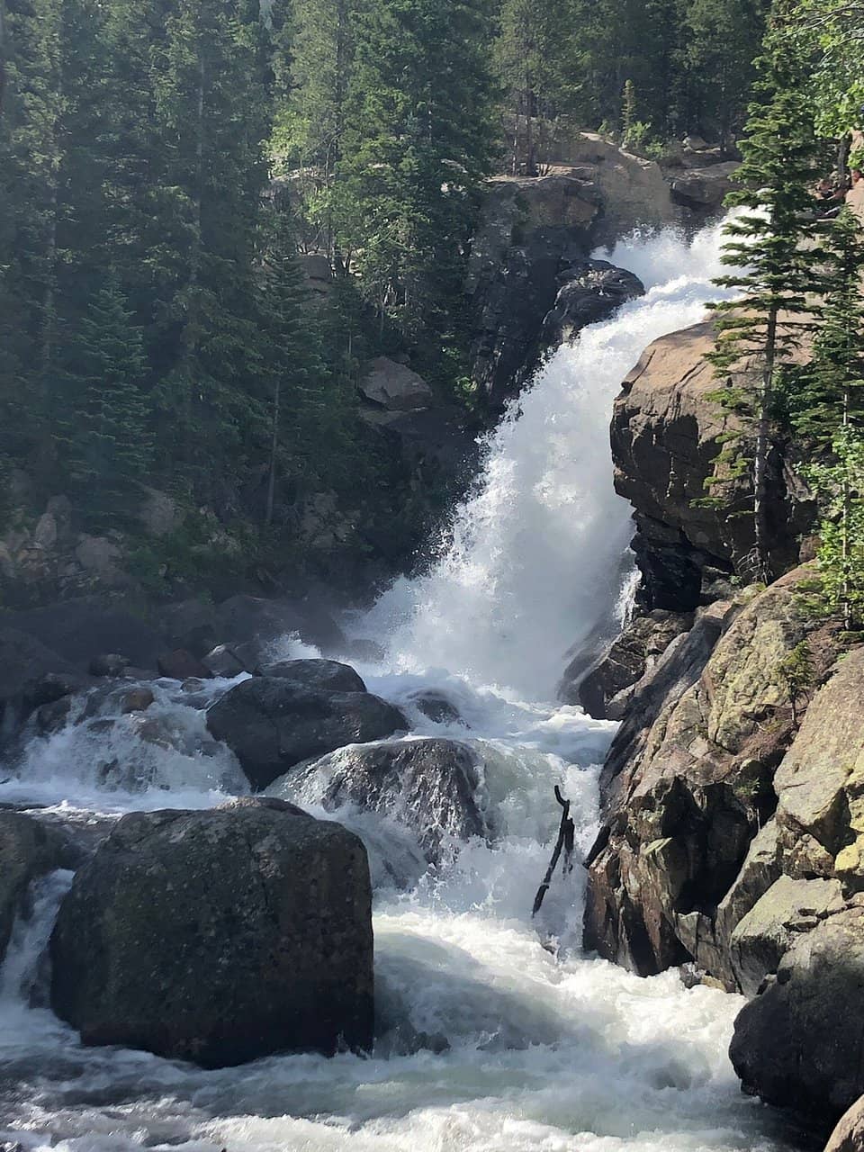 Vertical photo