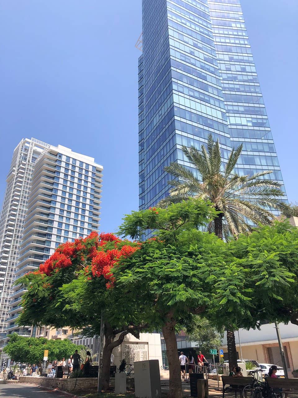 Vertical photo
