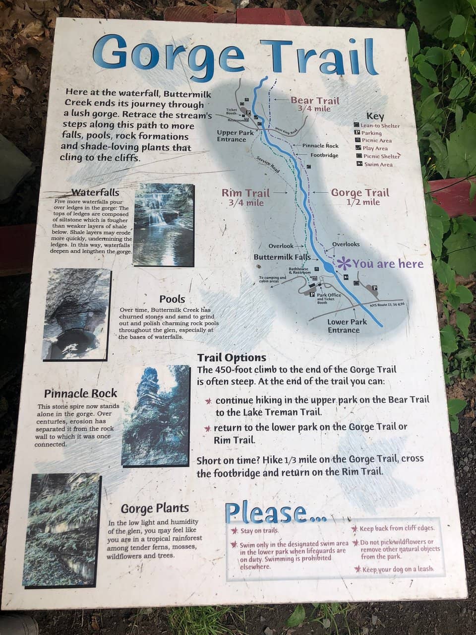 Gorge Trail Waterfalls