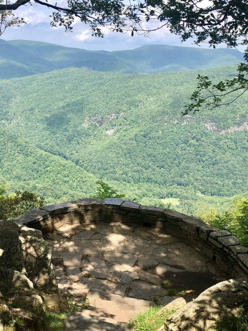 Serene Birdwatching Spot