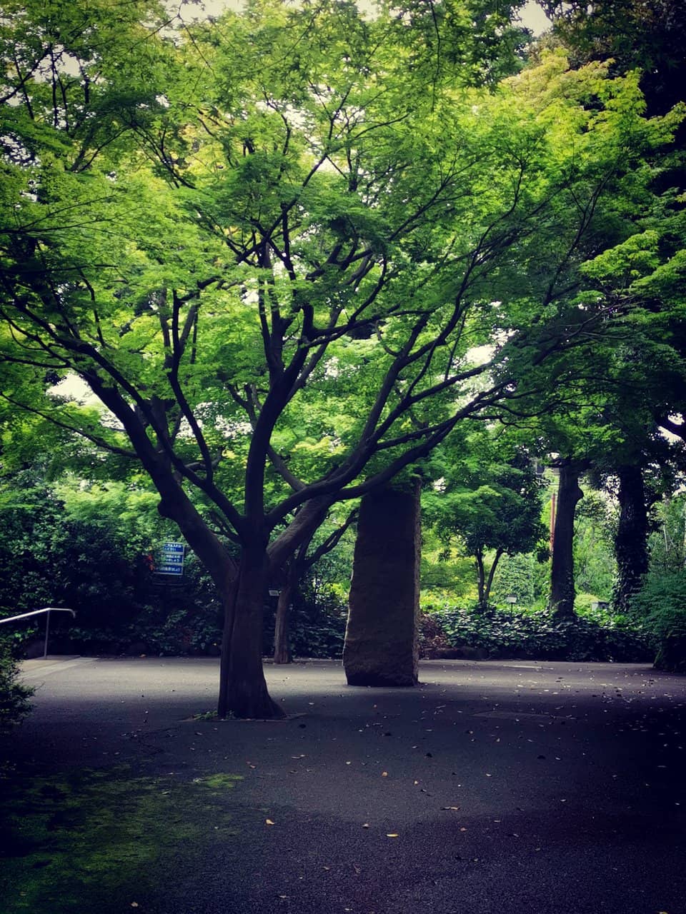 Vertical photo