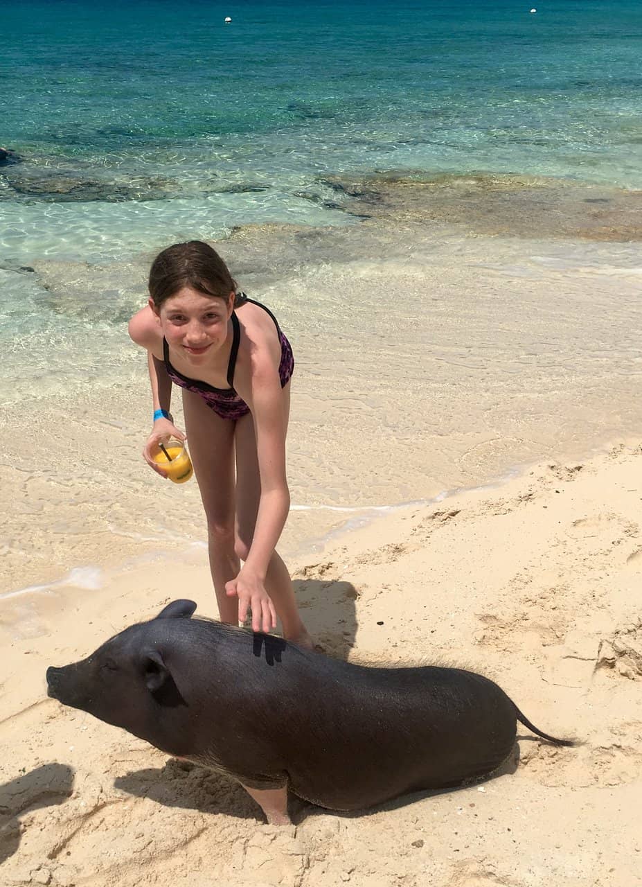 Swimming with the Pigs