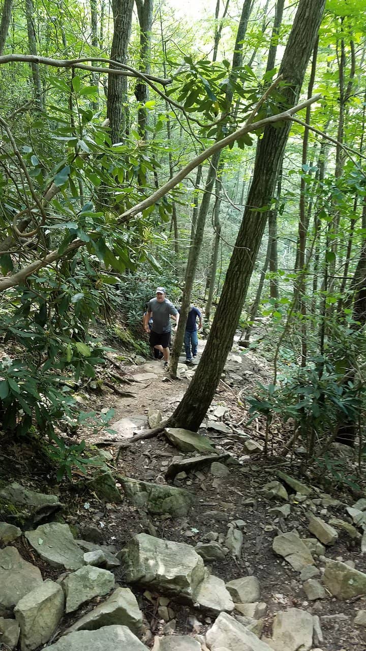 Picturesque Creek Crossings