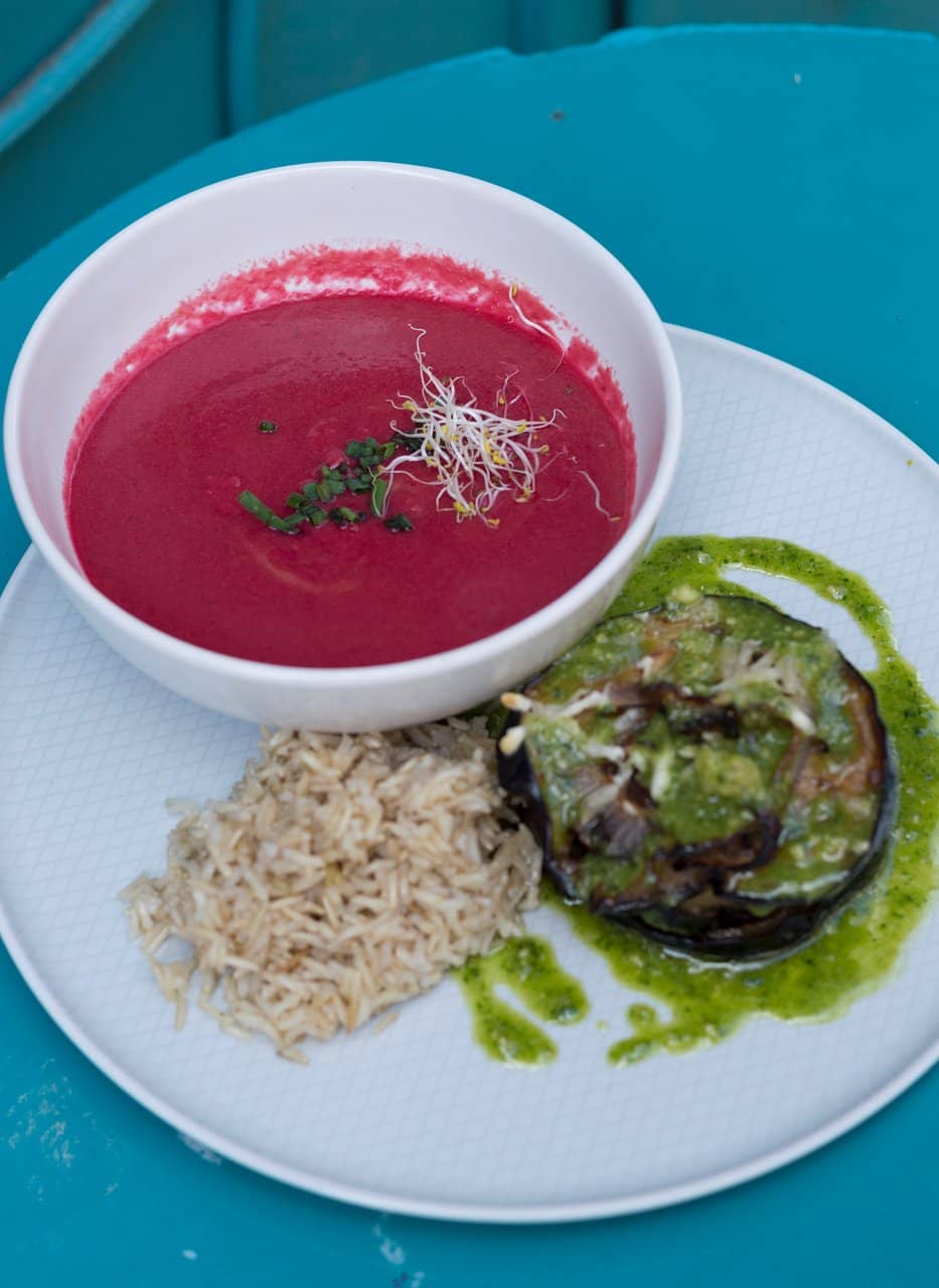 Vegan & Vegetarian Options