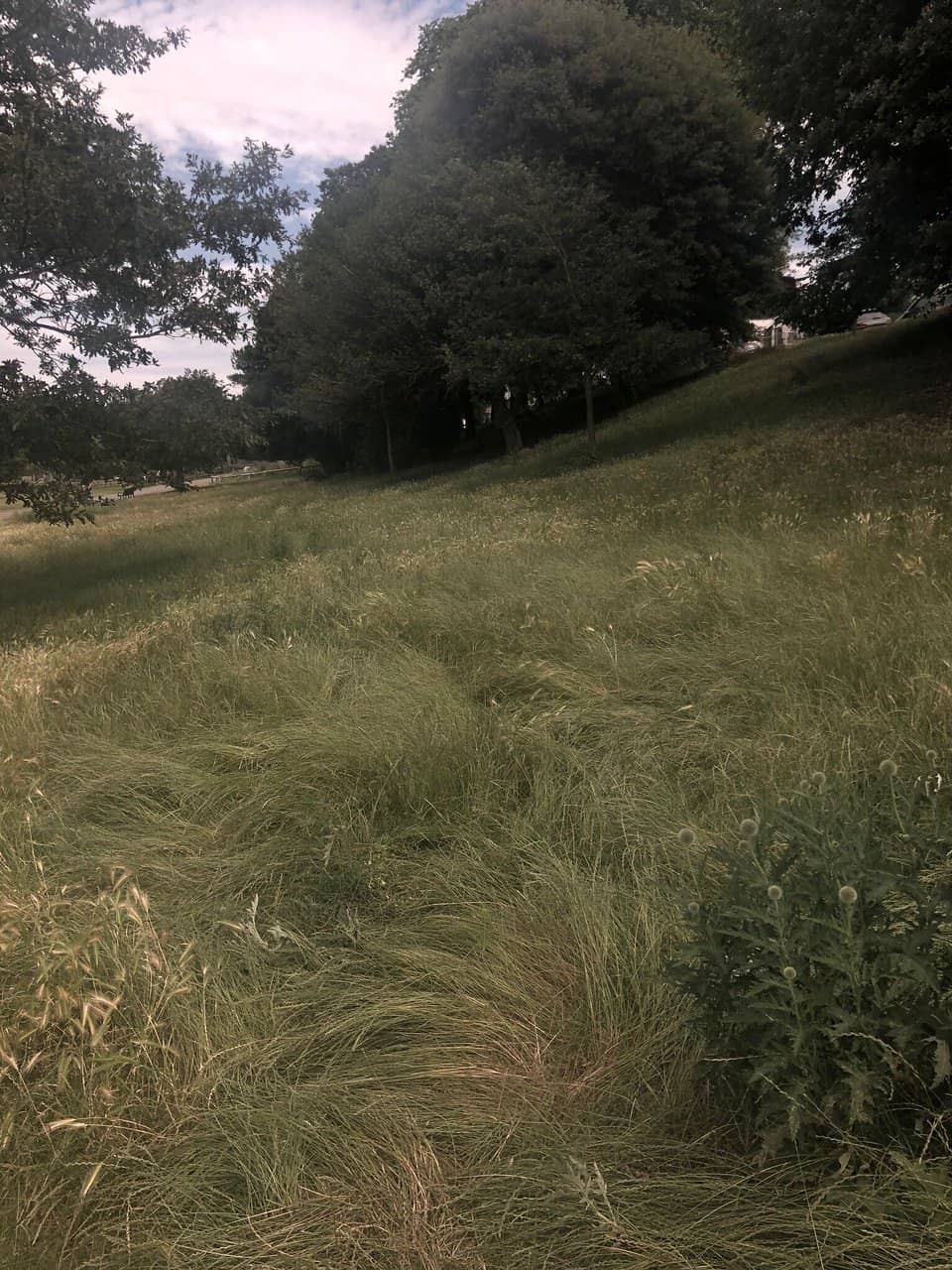 Spacious Playgrounds