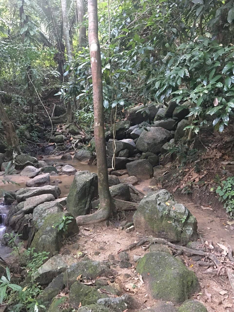 Vertical photo