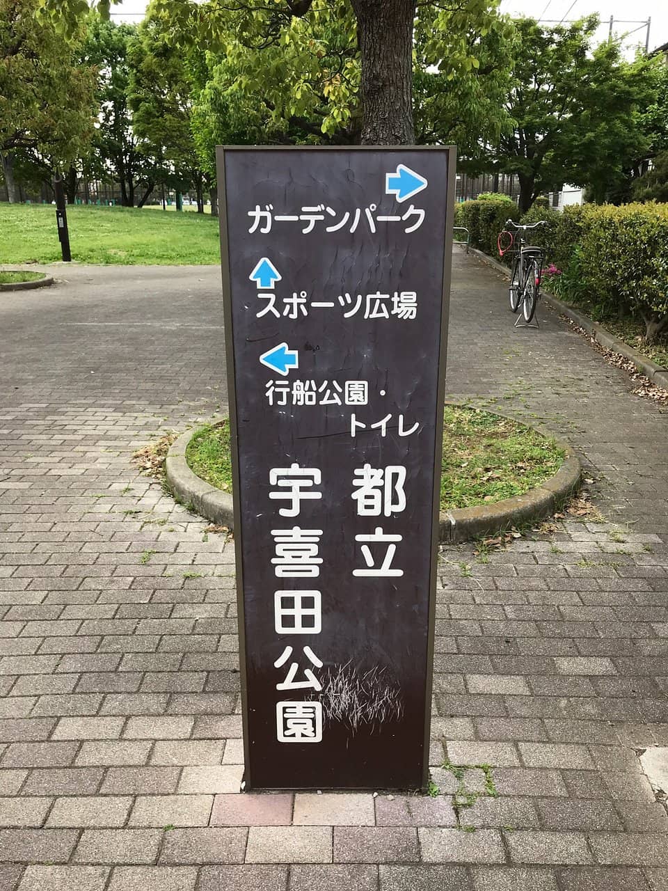 Family Fun Zone