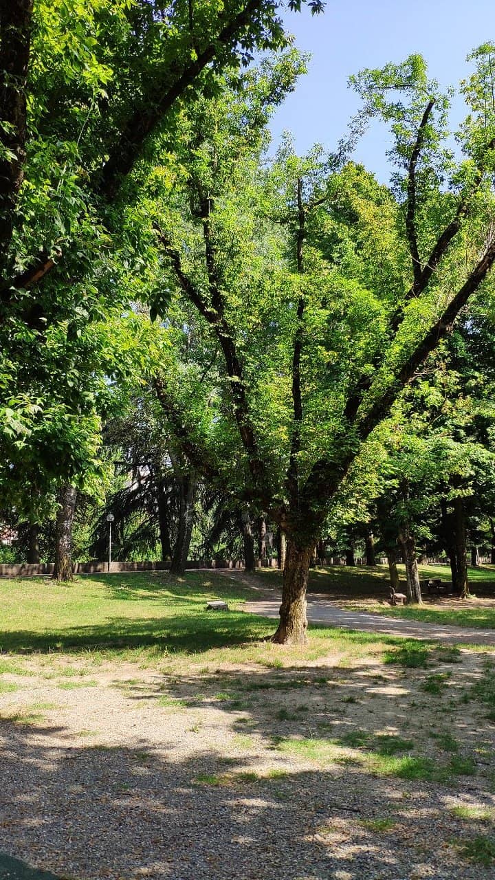Riverside Trails