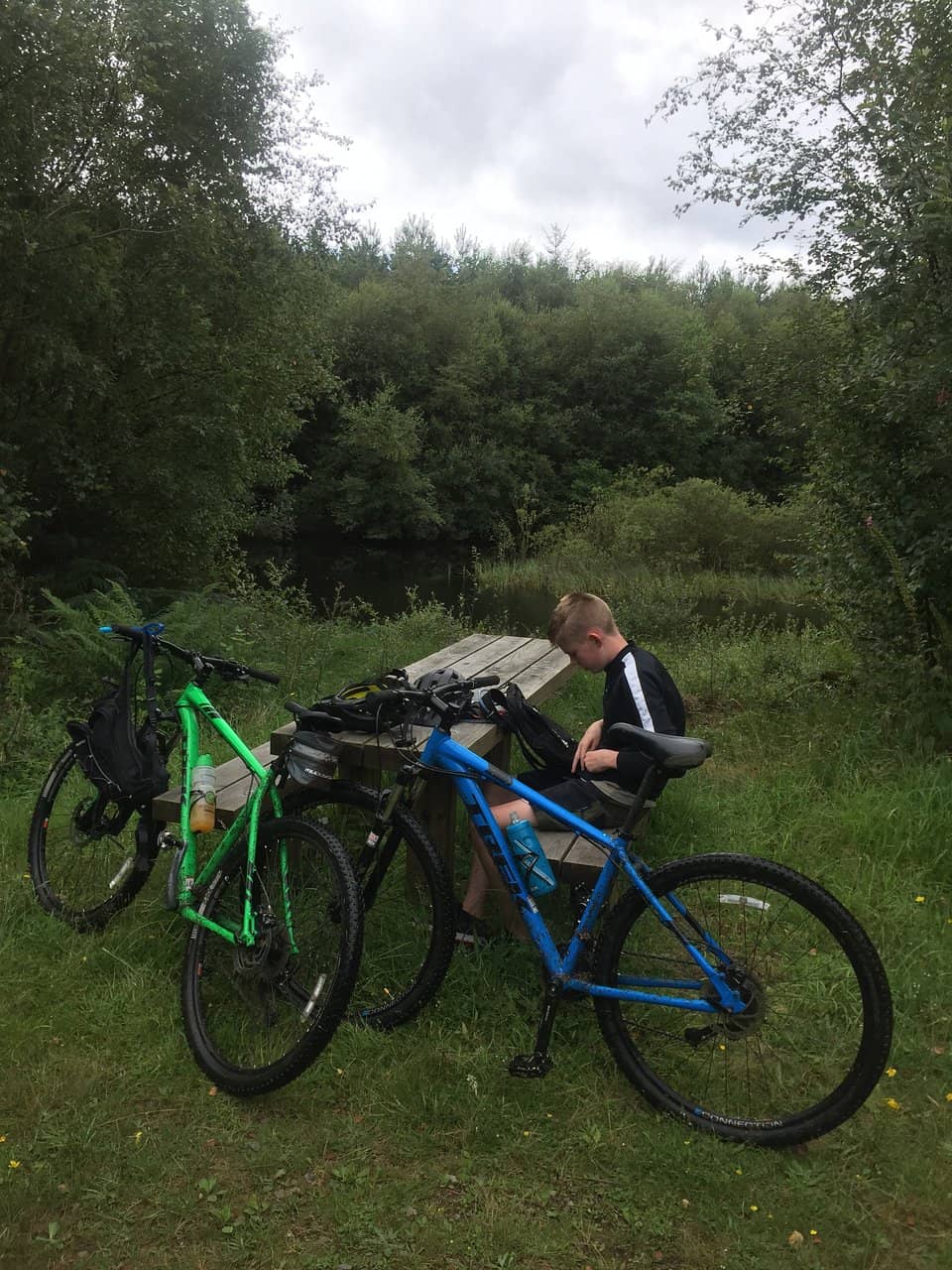 Woodland Walks & Wildlife