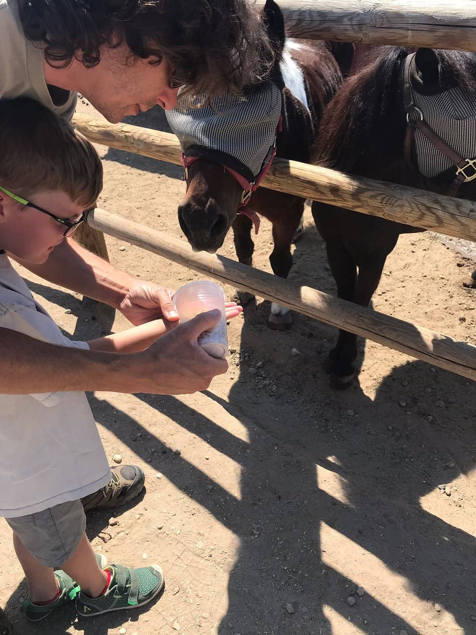 Picturesque Venue Grounds