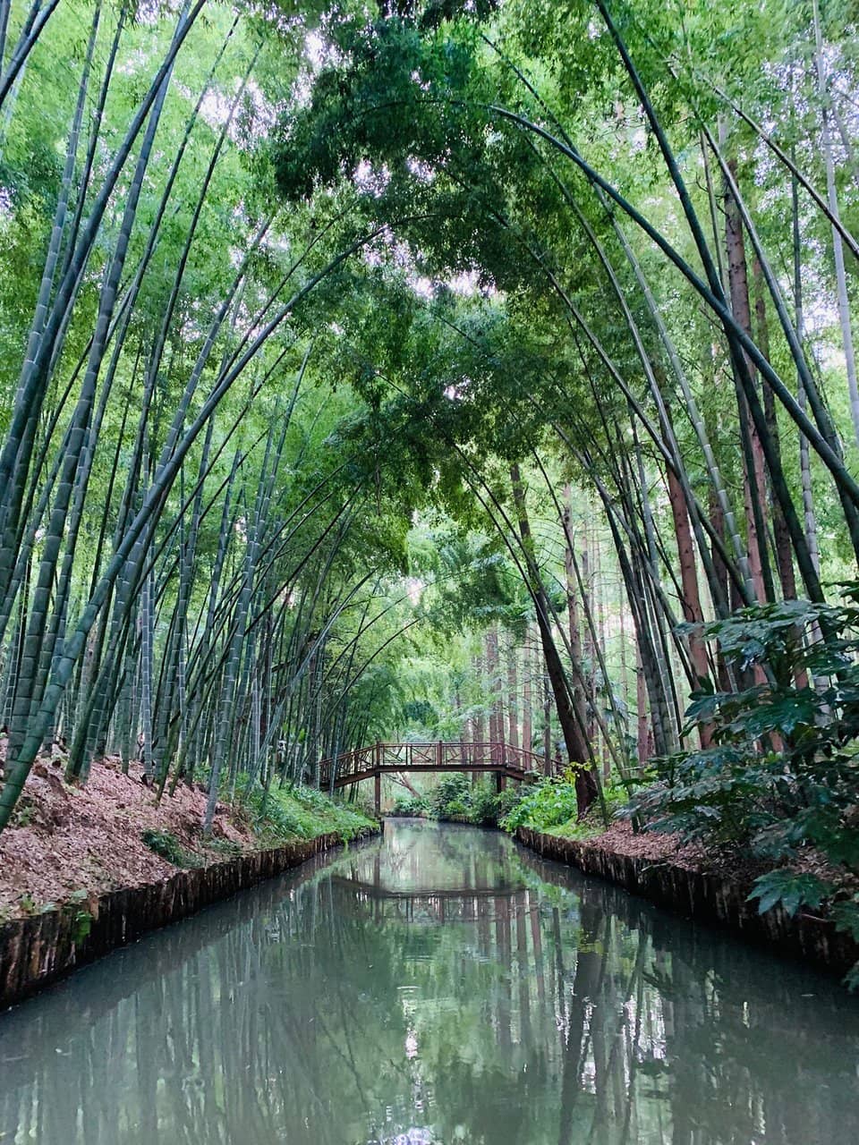 Tranquil Waterways