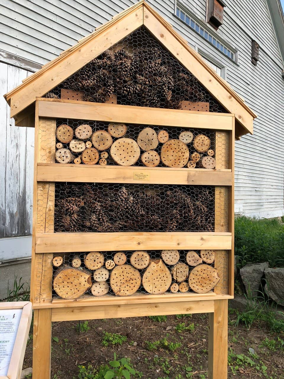 Pollinator Garden