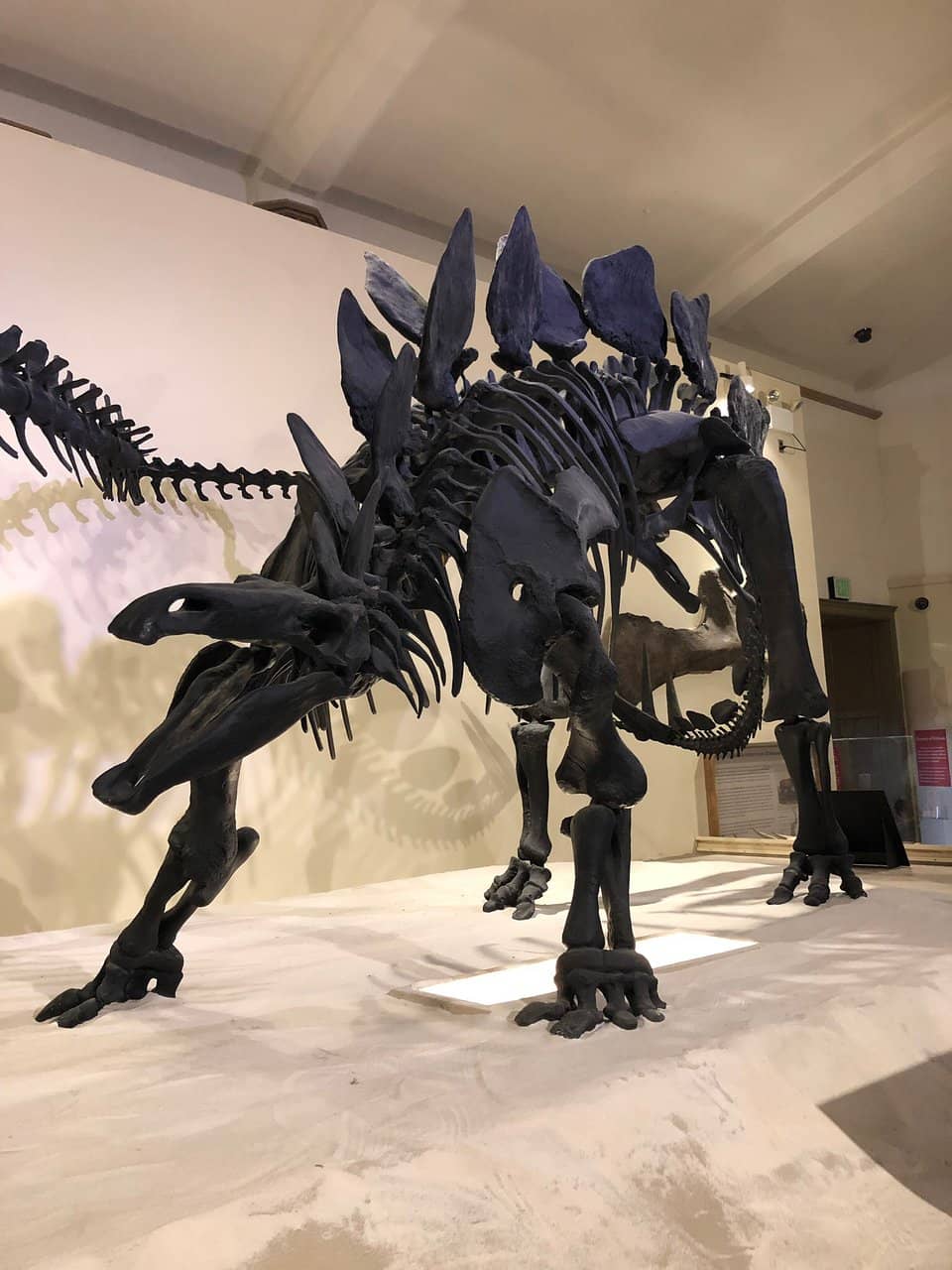 Campus Photography Spots