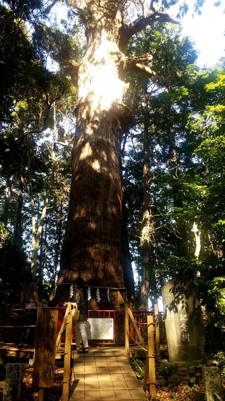 Peaceful Shrine Grounds