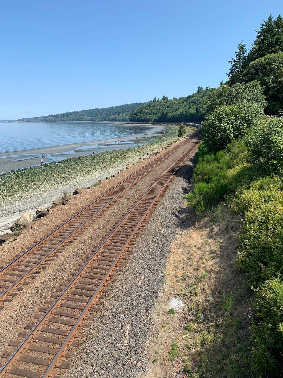 Train Watching Bridge