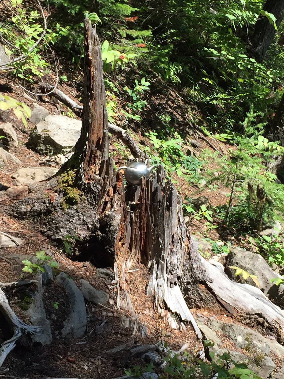 Vertical photo