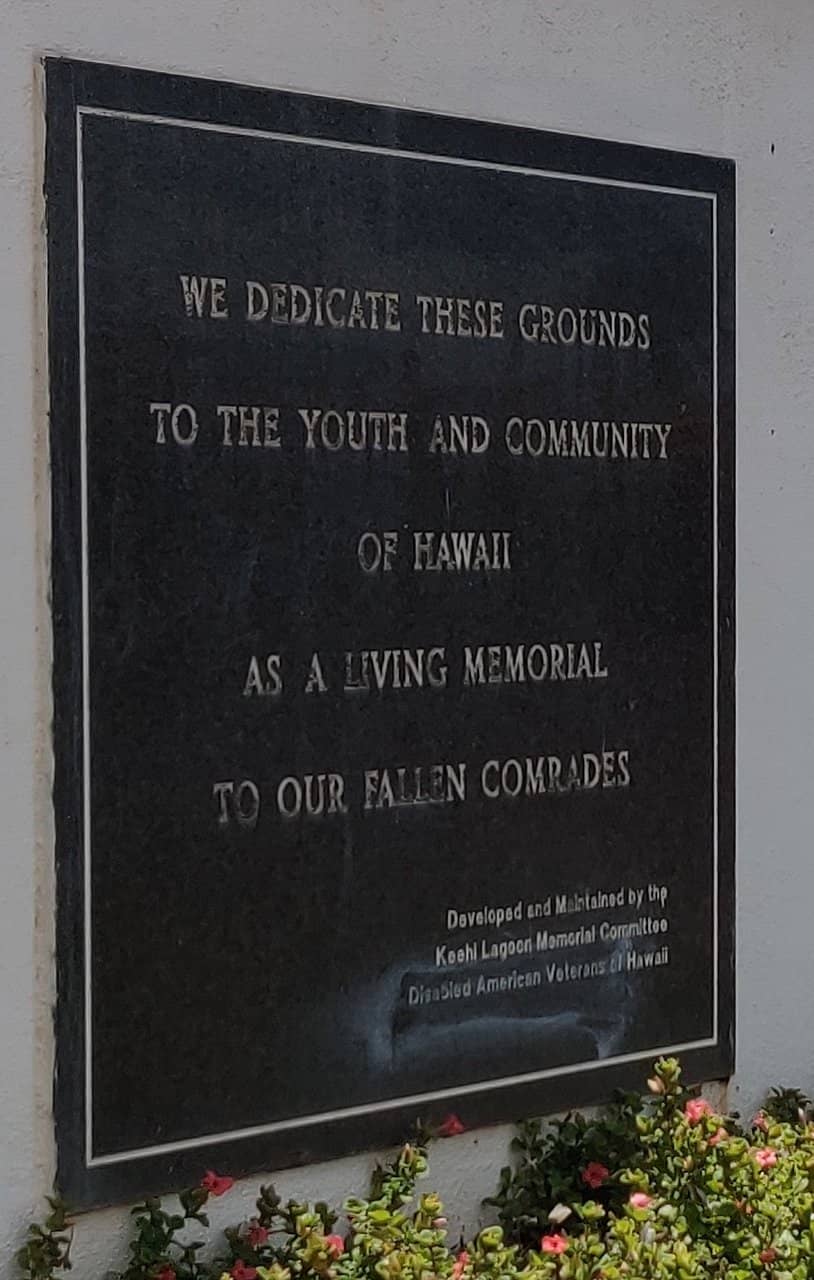 Sunset Views & Plane Spotting