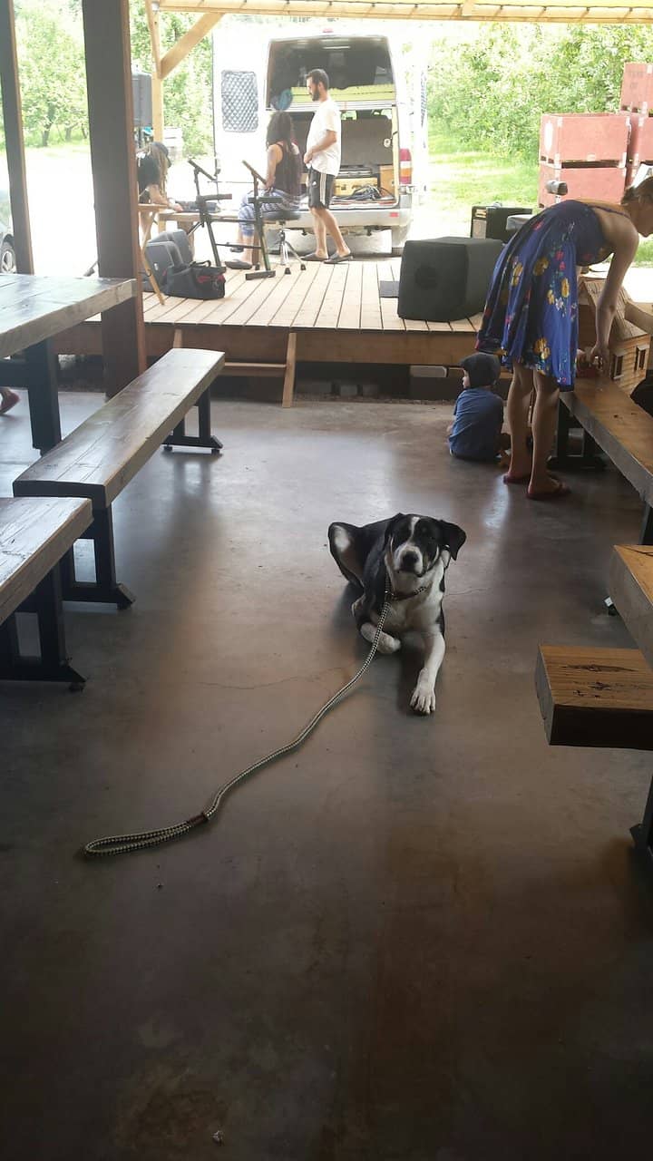 Farm-to-Table Dining