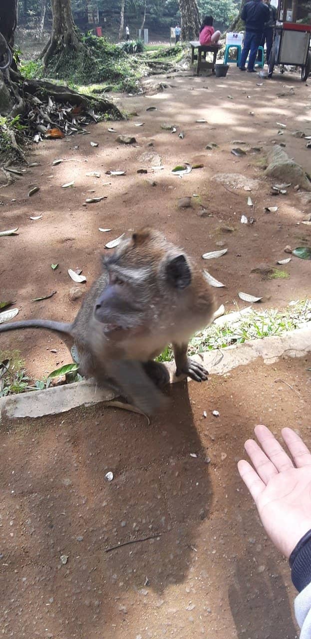 Scenic Photo Opportunities