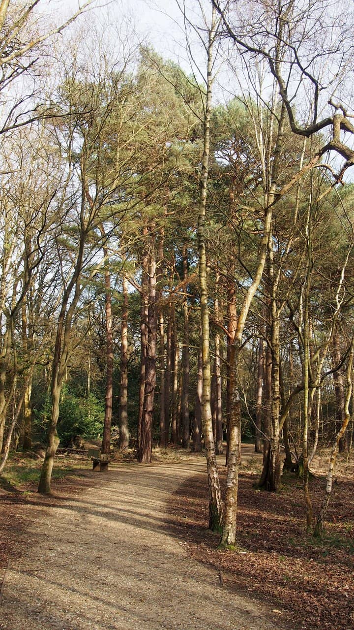 Southwood Country Park