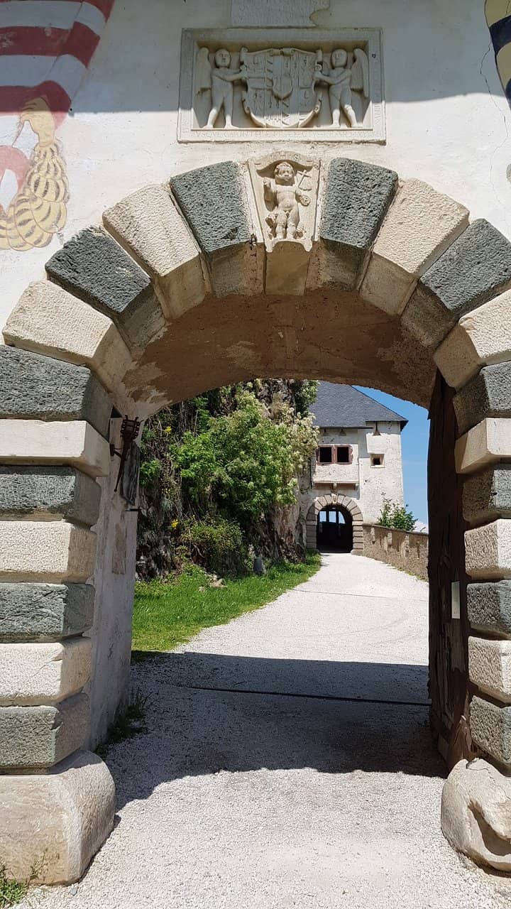 Vertical photo