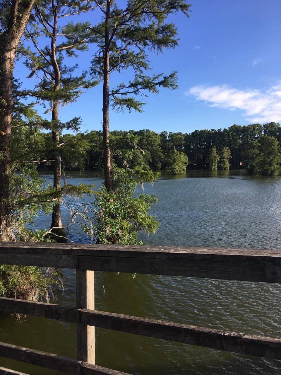 Paddle Boat Adventures