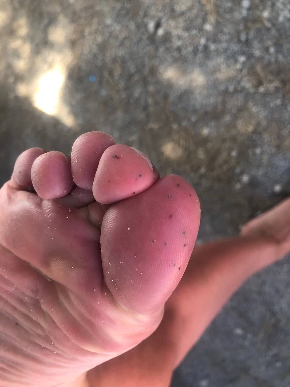 Crystal Clear Waters